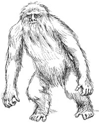 sasquatch-sketch.jpg